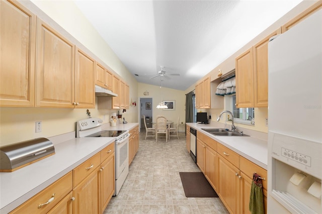 11335 SW 138th Ln, Dunnellon, FL 34432 - photo 15