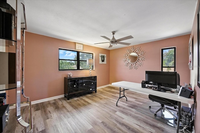 3151 Las Olas Dr, Dunedin, FL 34698 - photo 18