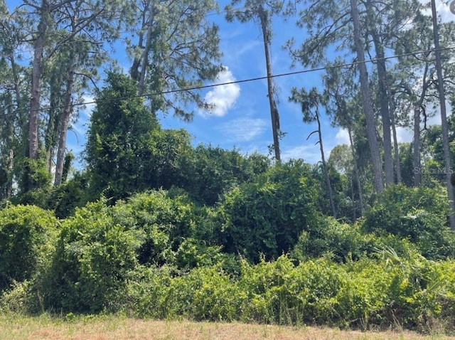Senate Ave, North Port, FL 34291 - photo 1