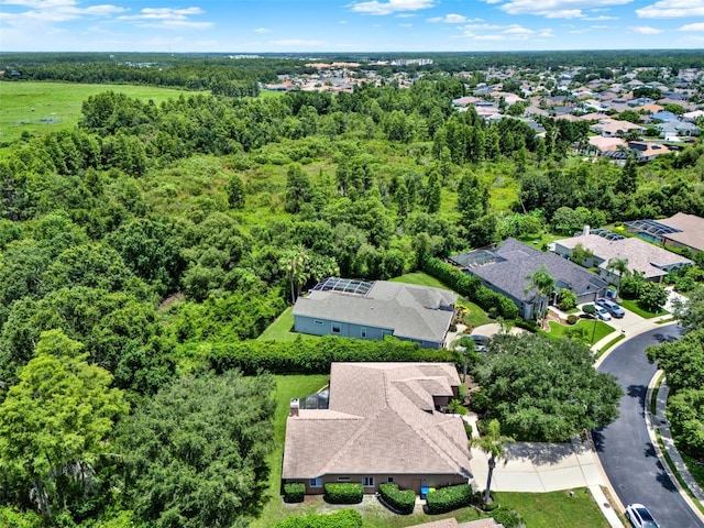 2228 Edelweiss Loop, Trinity, FL 34655 - photo 29