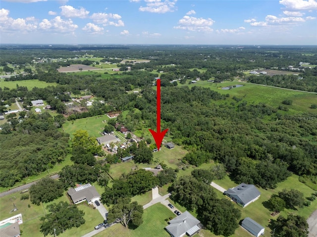 4106 Kimber Rae Ct, Plant City, FL 33565 - photo 73