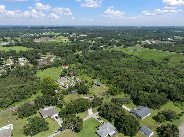 4106 Kimber Rae Ct, Plant City, FL 33565 - photo 74