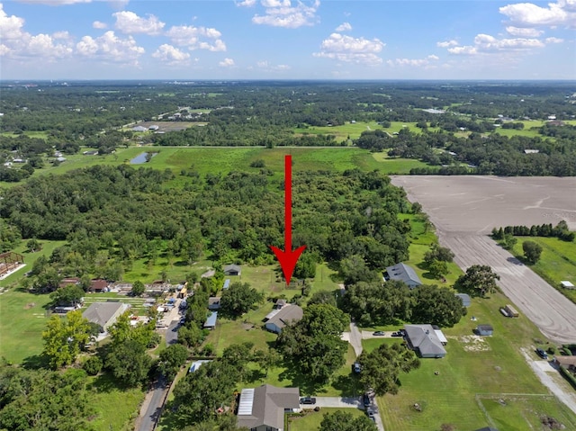 4106 Kimber Rae Ct, Plant City, FL 33565 - photo 75