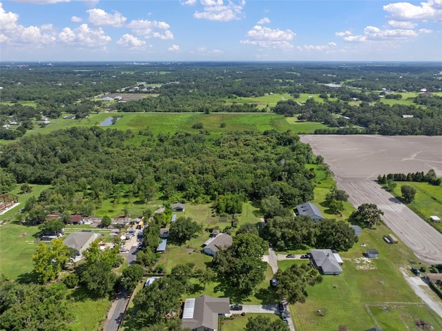 4106 Kimber Rae Ct, Plant City, FL 33565 - photo 76