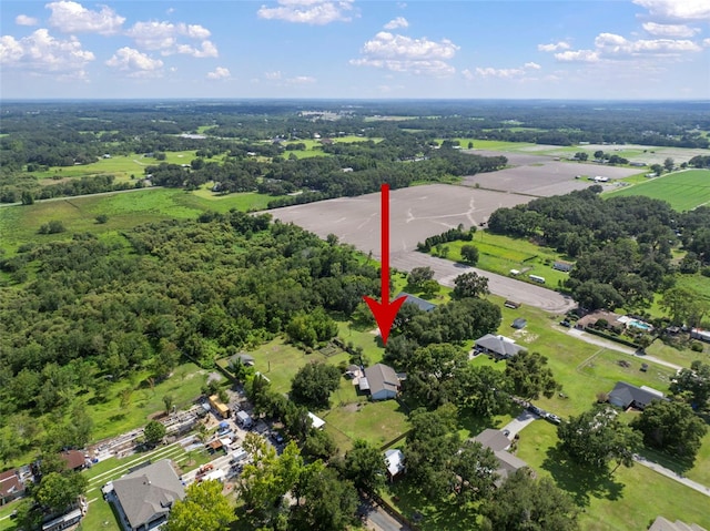 4106 Kimber Rae Ct, Plant City, FL 33565 - photo 77