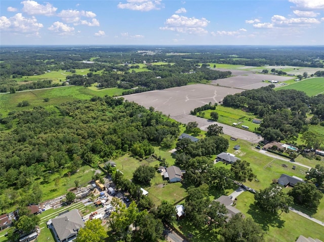 4106 Kimber Rae Ct, Plant City, FL 33565 - photo 78