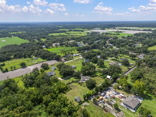 4106 Kimber Rae Ct, Plant City, FL 33565 - photo 83