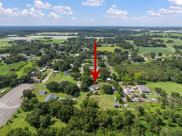 4106 Kimber Rae Ct, Plant City, FL 33565 - photo 84