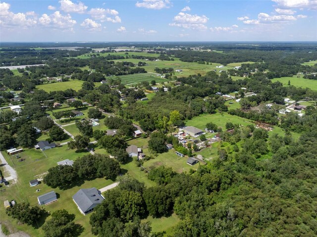 4106 Kimber Rae Ct, Plant City, FL 33565 - photo 87