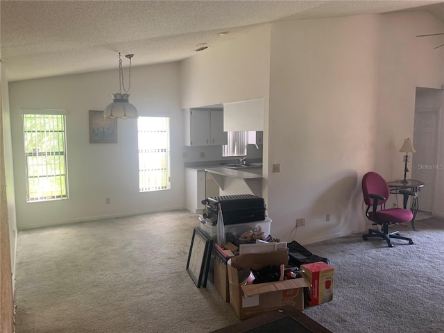 8315 N Temple Pl, Tampa, FL 33617 - photo 8