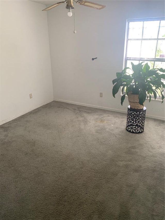 8315 N Temple Pl, Tampa, FL 33617 - photo 12
