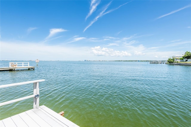 4703 Dolphin Cay Ln S, Saint Petersburg, FL 33711 - photo 70