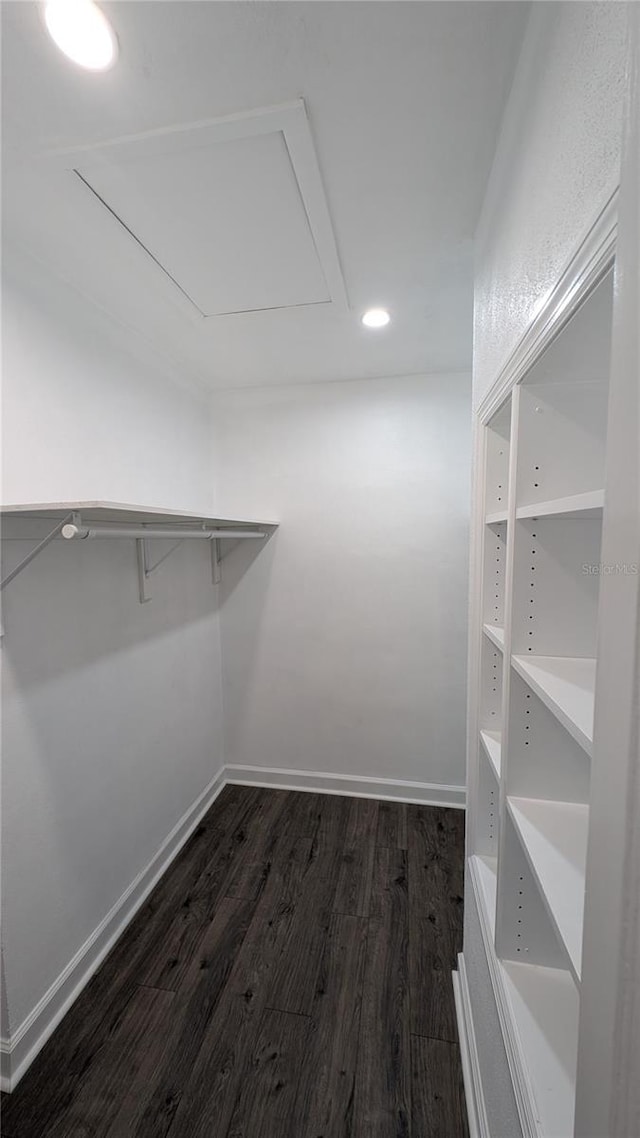 1001 Mclean St, Dunedin, FL 34698 - photo 19