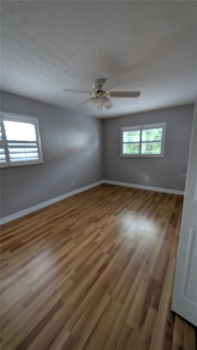 1001 Mclean St, Dunedin, FL 34698 - photo 23