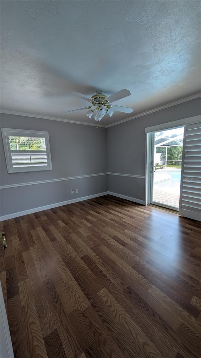 1001 Mclean St, Dunedin, FL 34698 - photo 41