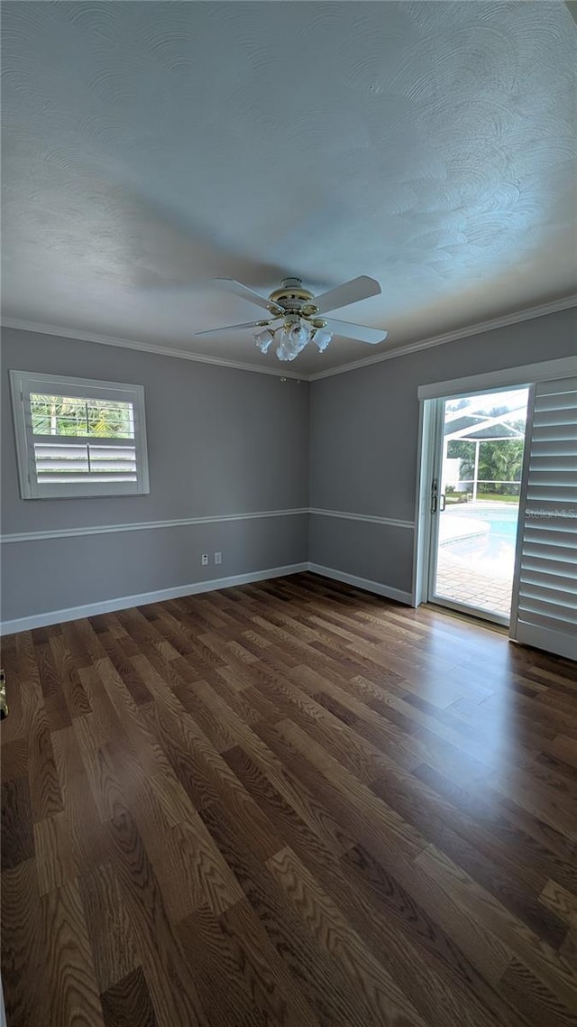 1001 Mclean St, Dunedin, FL 34698 - photo 42