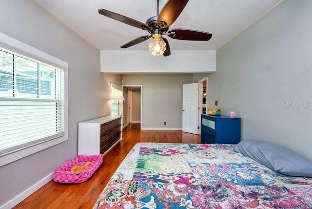 7348 Grand Blvd, New Port Richey, FL 34652 - photo 22