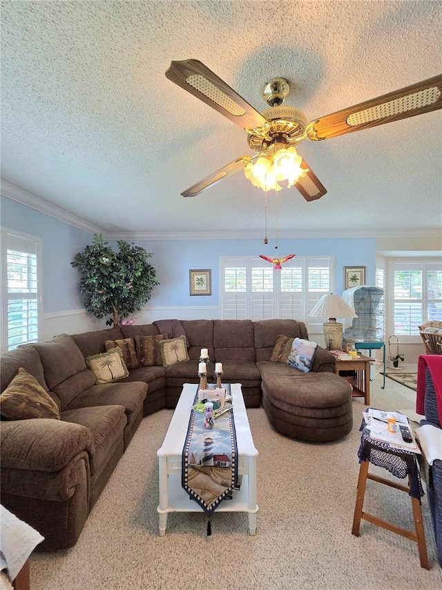 9902 Saint Joseph Ct, New Port Richey, FL 34655 - photo 32