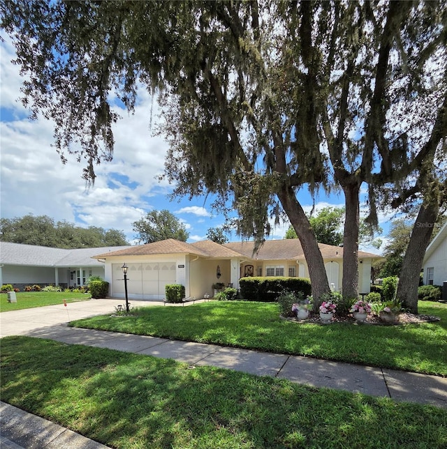 9902 Saint Joseph Ct, New Port Richey, FL 34655 - photo 5