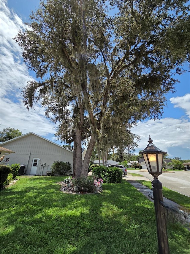 9902 Saint Joseph Ct, New Port Richey, FL 34655 - photo 12