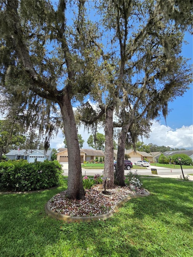 9902 Saint Joseph Ct, New Port Richey, FL 34655 - photo 22