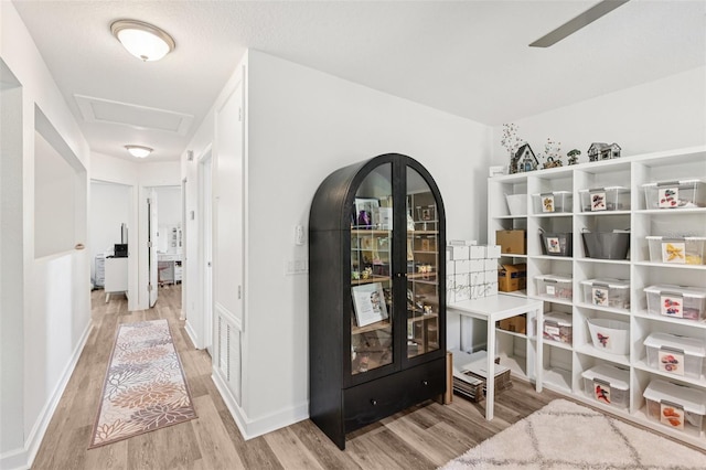 1211 Timber Trace Dr, Wesley Chapel, FL 33543 - photo 19