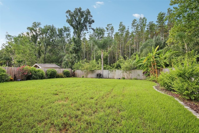 1211 Timber Trace Dr, Wesley Chapel, FL 33543 - photo 26