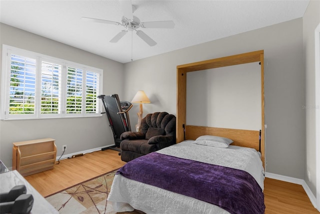 9841 Balsaridge Ct, Trinity, FL 34655 - photo 9