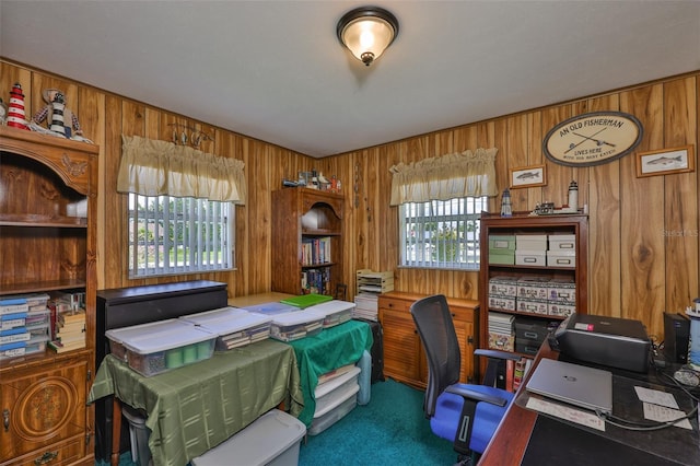 11350 Poinsettia St, Riverview, FL 33578 - photo 26