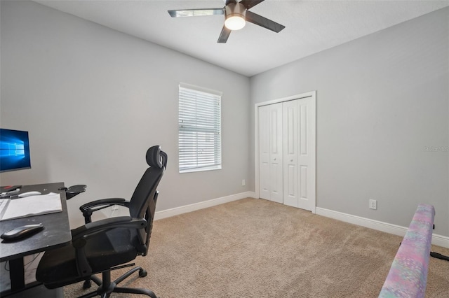 847 Aurora Way, Oldsmar, FL 34677 - photo 30