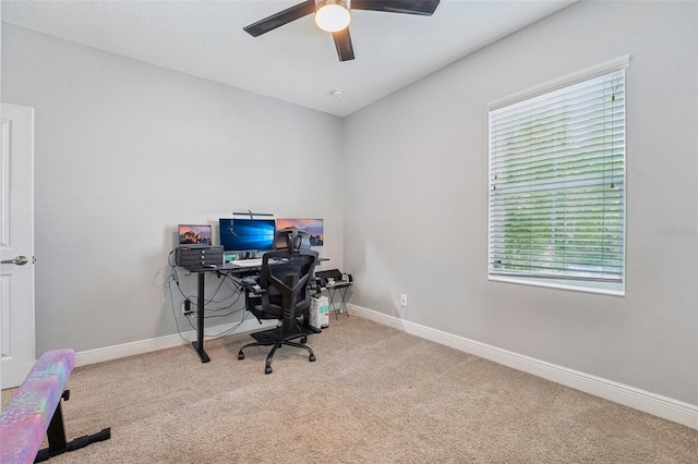 847 Aurora Way, Oldsmar, FL 34677 - photo 36