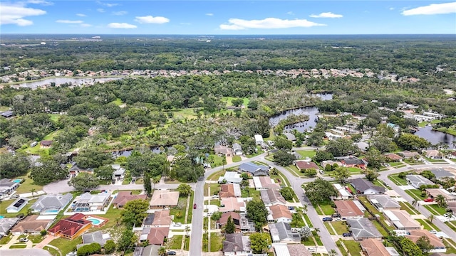 5722 Mariposa Dr, Holiday, FL 34690 - photo 62