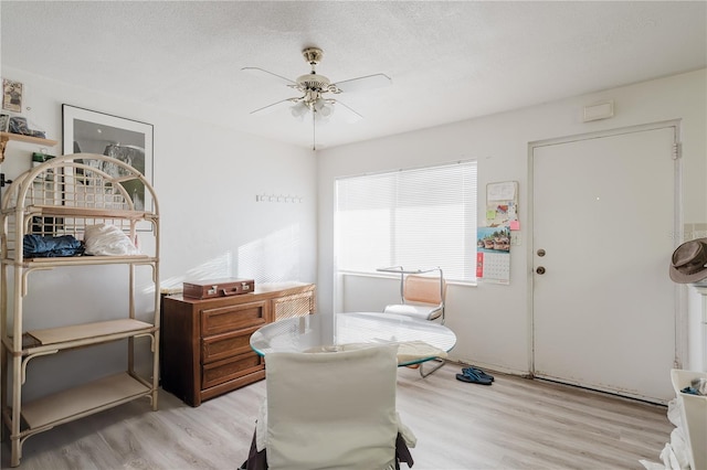 8950 Park Blvd Unit 702, Seminole, FL 33777 - photo 5