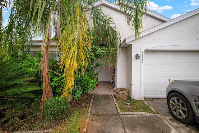 1250 Timber Trace Dr, Wesley Chapel, FL 33543 - photo 4