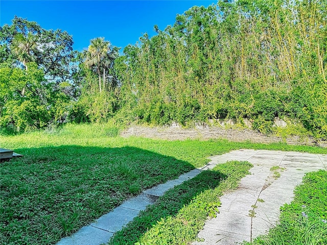 4014 N Marguerite St, Tampa, FL 33603 - photo 10