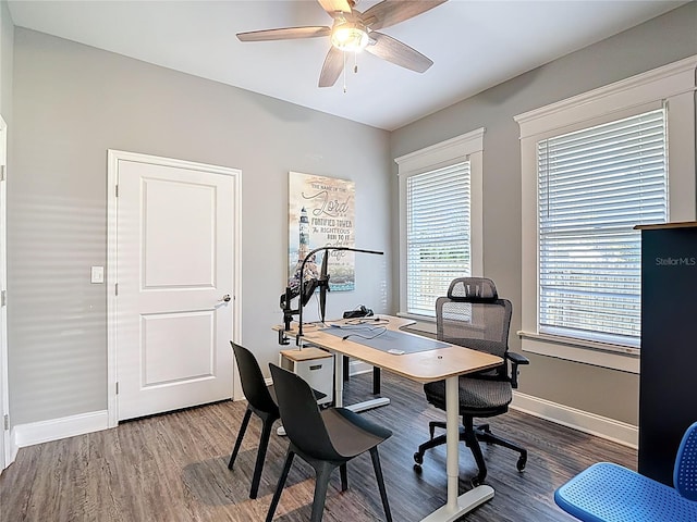 4014 N Marguerite St, Tampa, FL 33603 - photo 33