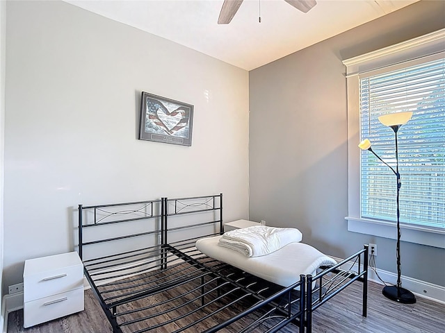 4014 N Marguerite St, Tampa, FL 33603 - photo 37