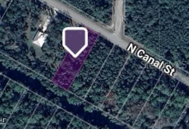 N Canal St, Webster, FL 33597 - photo 1