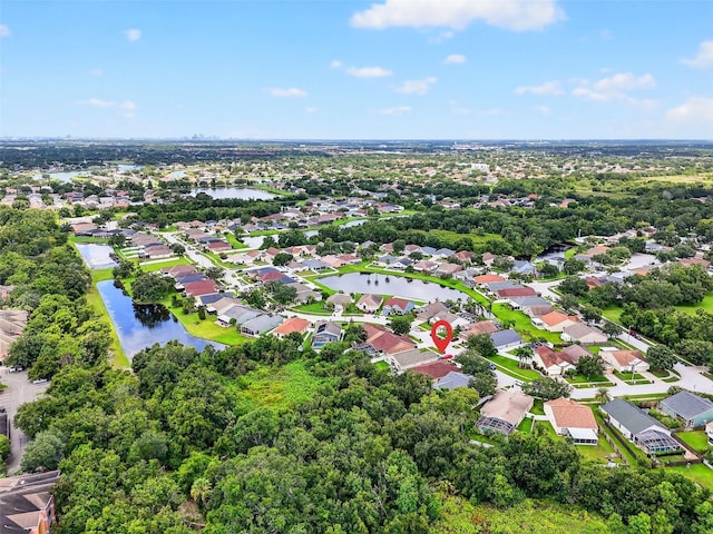 913 Summer Breeze Dr, Brandon, FL 33511 - photo 46
