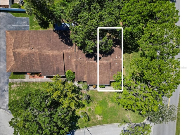 120 Edgewood Ct, Oldsmar, FL 34677 - photo 8