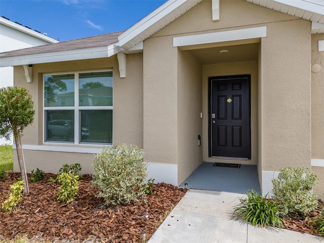 802 Ace Outlaw Ave, Ruskin, FL 33570 - photo 4