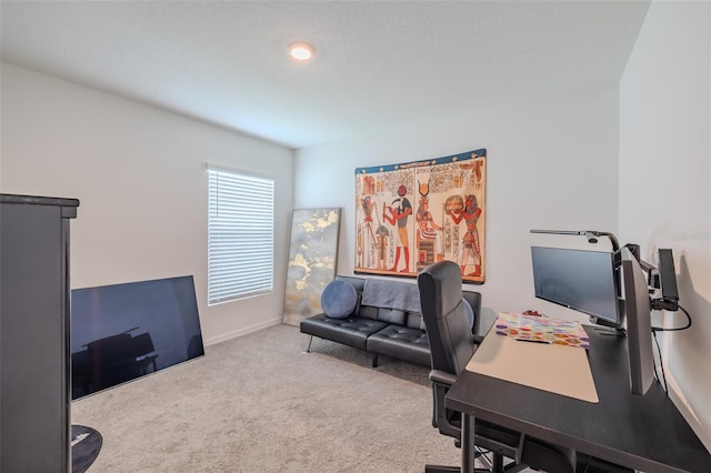 802 Ace Outlaw Ave, Ruskin, FL 33570 - photo 10