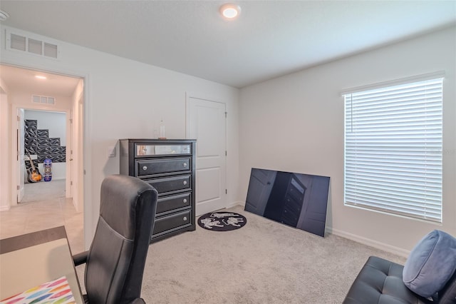 802 Ace Outlaw Ave, Ruskin, FL 33570 - photo 11