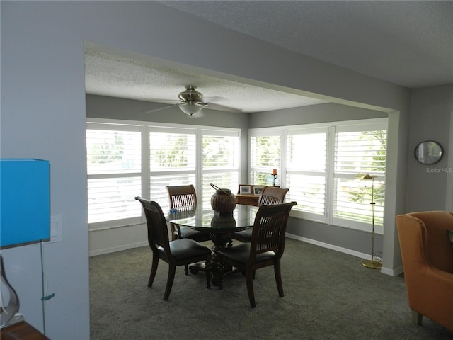 108 Dogwood Cir Unit 108, Seminole, FL 33777 - photo 24