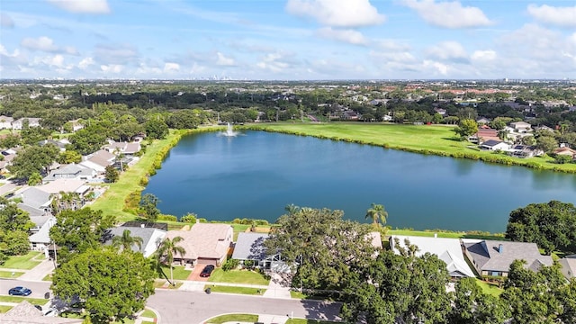 1915 Blue Sage Ct, Brandon, FL 33511 - photo 8