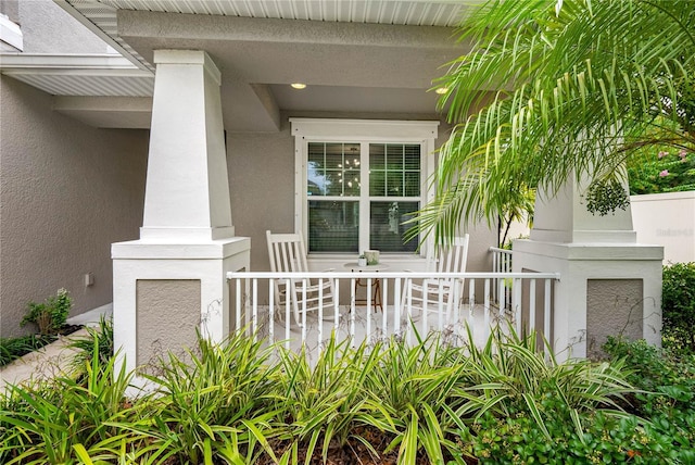 11614 Orange Palm Way, Tampa, FL 33626 - photo 8