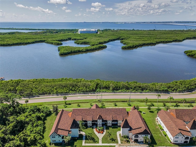 320 N Bayshore Blvd Unit 107, Clearwater, FL 33759 - photo 62