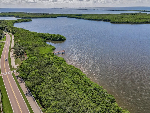320 N Bayshore Blvd Unit 107, Clearwater, FL 33759 - photo 63