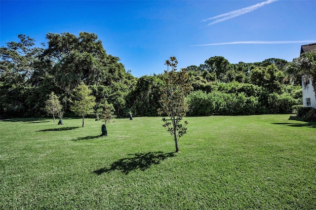 320 N Bayshore Blvd Unit 107, Clearwater, FL 33759 - photo 68