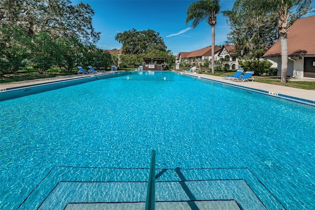 320 N Bayshore Blvd Unit 107, Clearwater, FL 33759 - photo 2